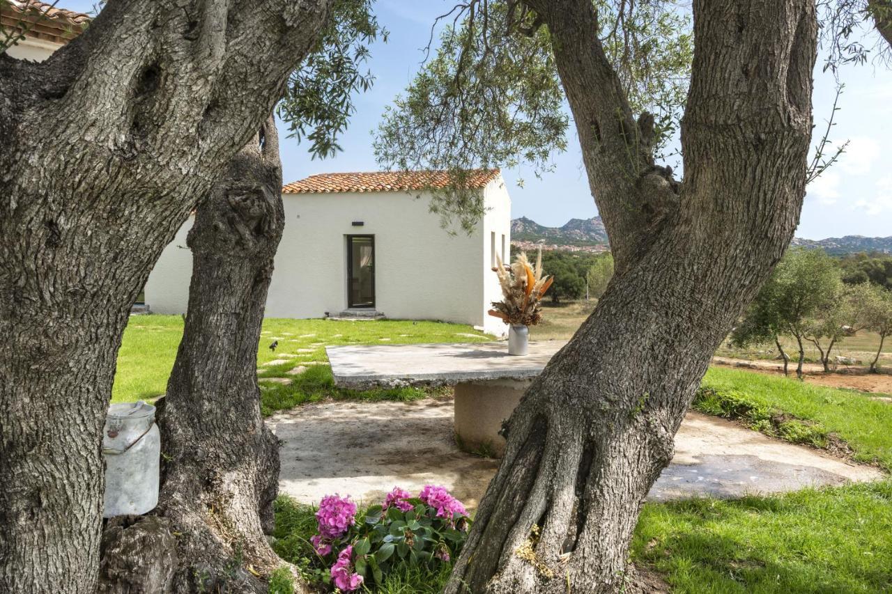 Uddastri Retreat Arzachena Kültér fotó